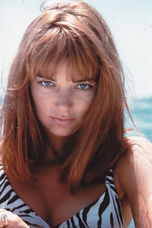 Diane Bond List of All Movies & Filmography | Fandango